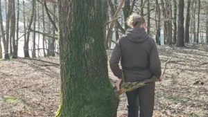 Naturterapi i praksis